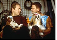 Best in Show