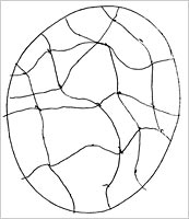 Drawing by Al Gore