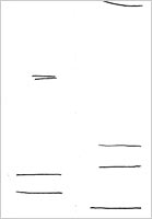 Drawing by Al Gore