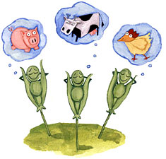 Illustration by Nina Frenkel